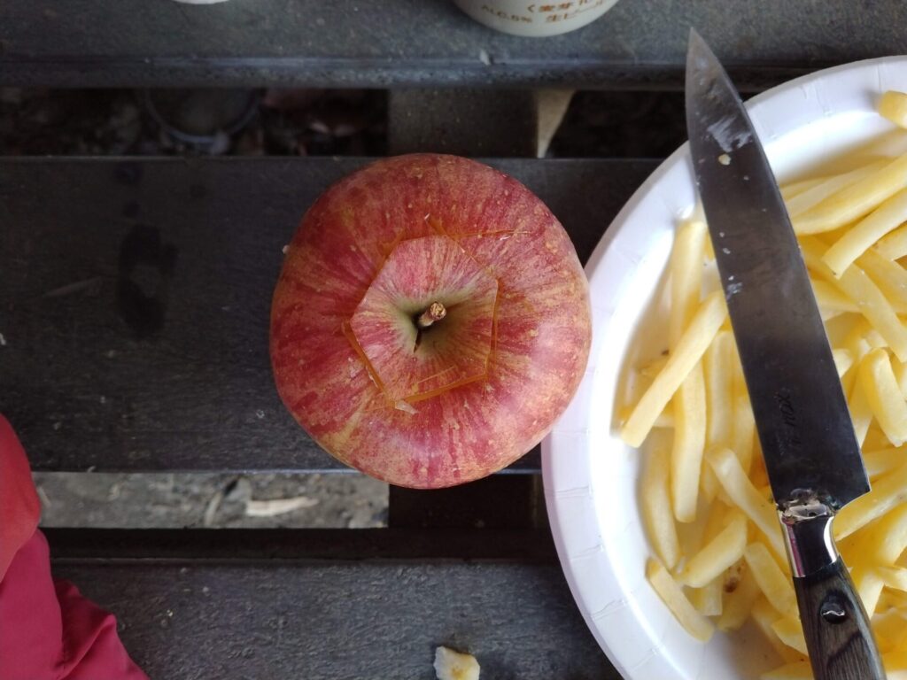 上からリンゴで蓋をします。